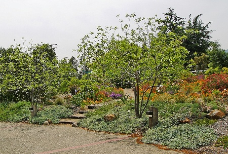 Maloof Discovery Garden